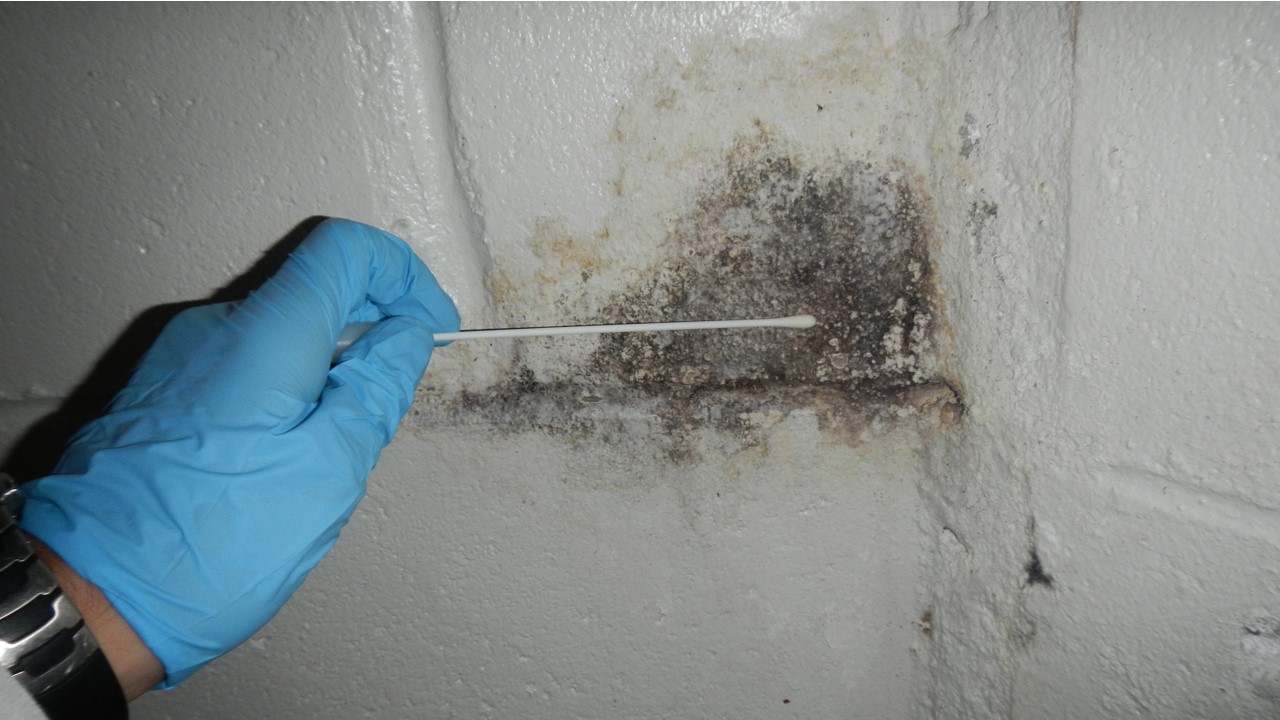 Mold Testing Services, Connecticut